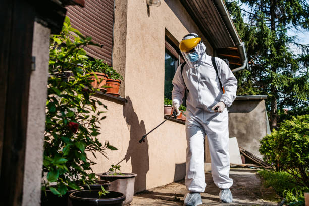 Trusted Roanoke, IL Pest Control Experts