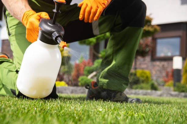 Best Pest Prevention Services  in Roanoke, IL