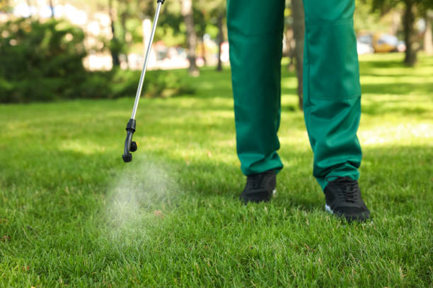 Best Cockroach Control Services  in Roanoke, IL