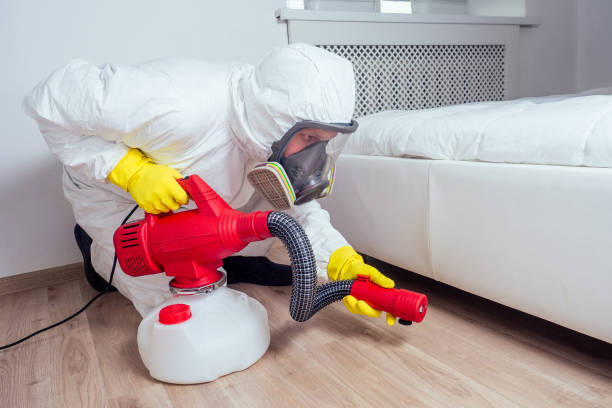 Insect Control in Roanoke, IL