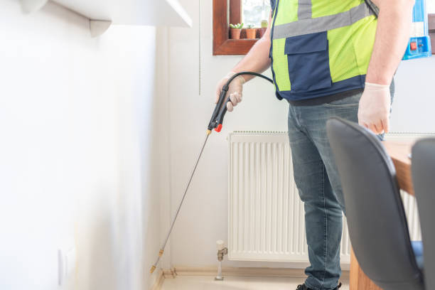 Best Termite Control Services  in Roanoke, IL