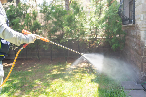 Best Best Pest Control Companies  in Roanoke, IL