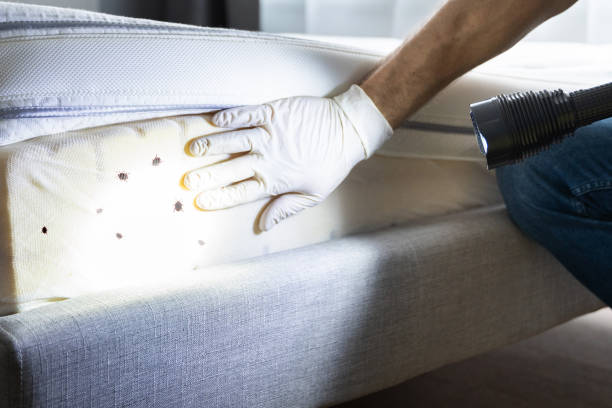 Best Pest Removal Services  in Roanoke, IL