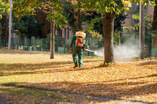 Best Emergency Pest Control  in Roanoke, IL