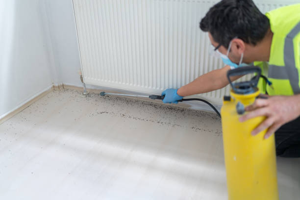 Best Best Pest Control Companies  in Roanoke, IL