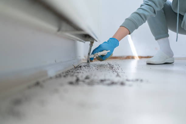 Best Emergency Pest Control  in Roanoke, IL